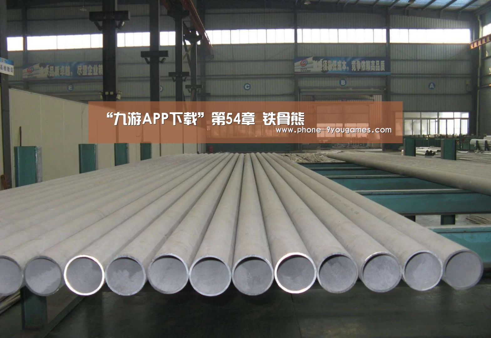 “九游APP下载”第54章 铁骨熊(图2) 九游游戏