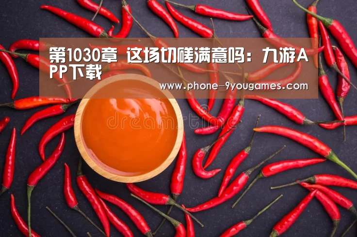第1030章 这场切磋满意吗:九游APP下载(图2) 九游游戏中心